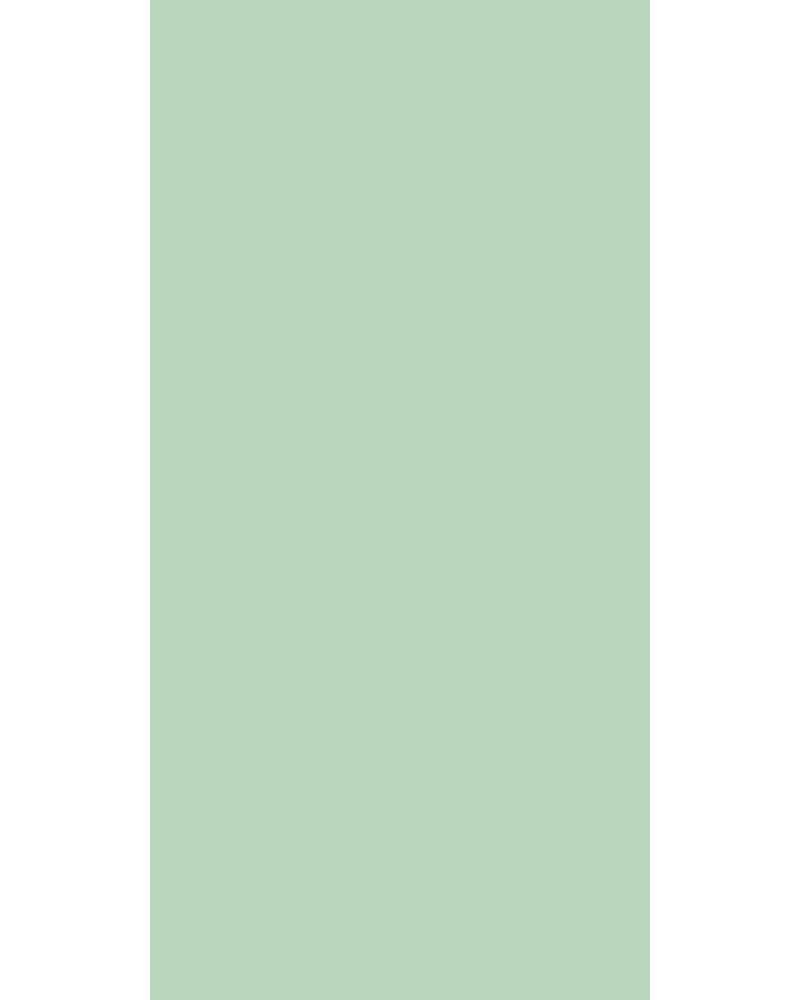 Mint Green - FM 9183