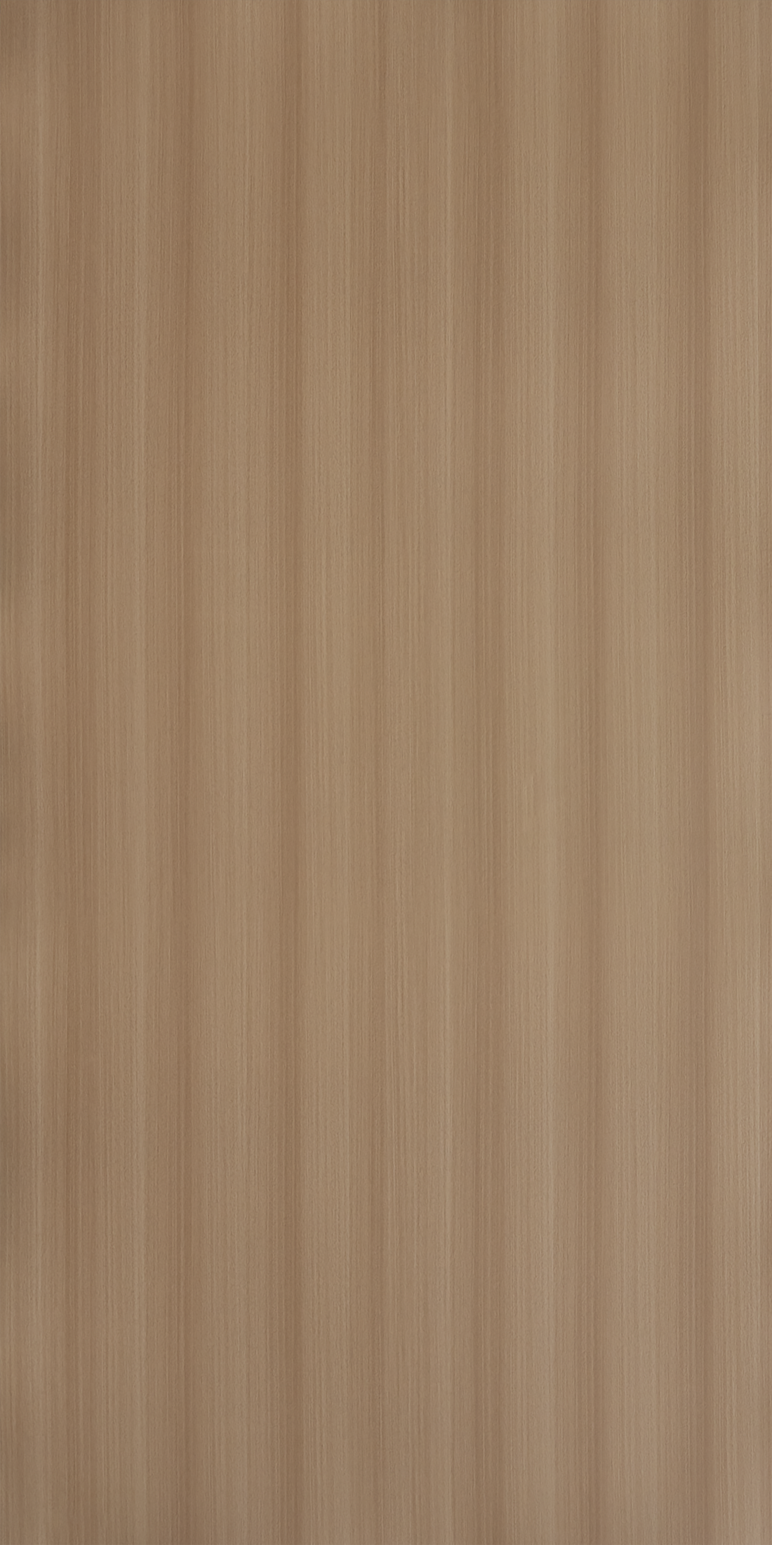 Almond Oak - RR 612