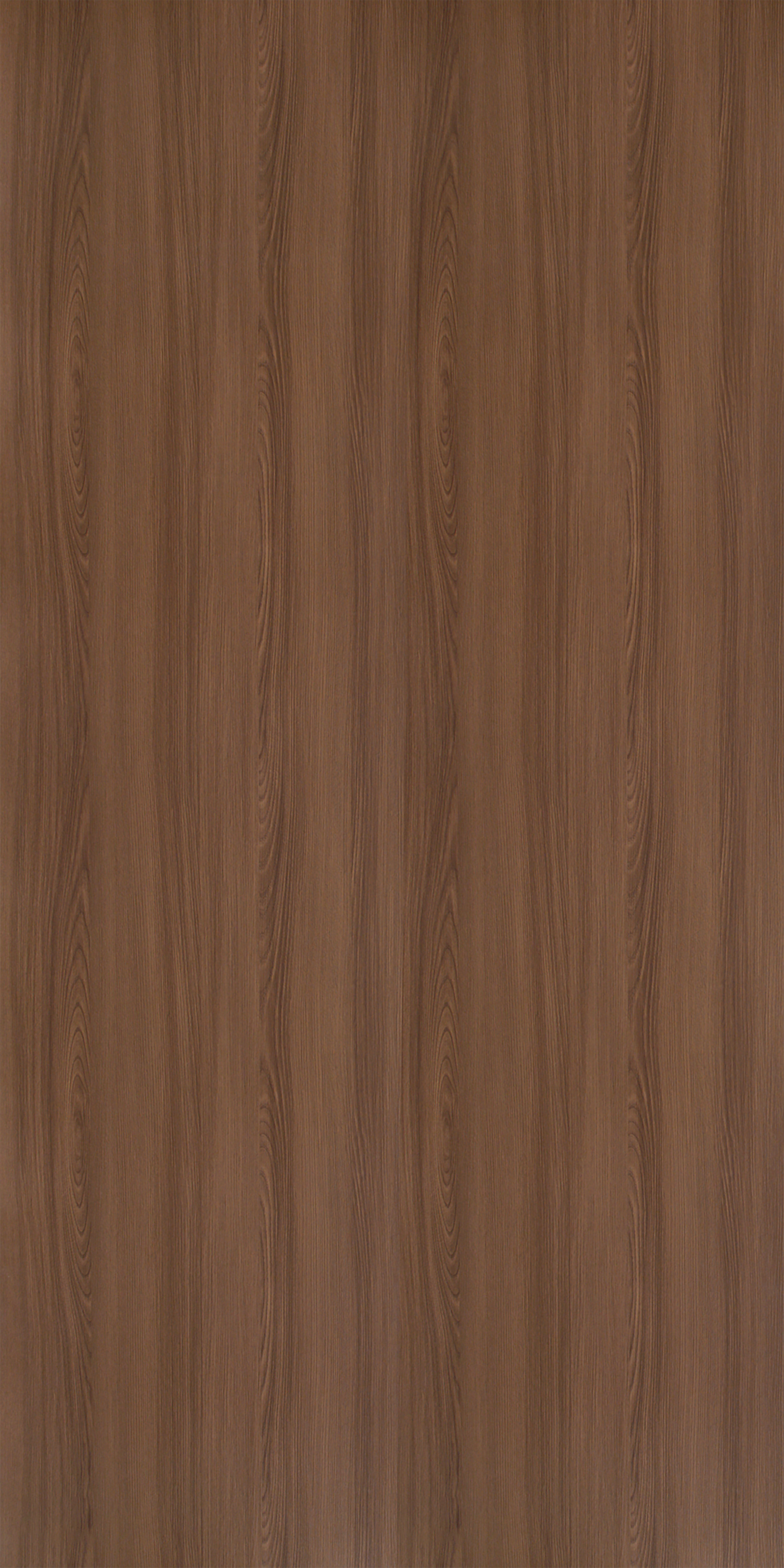 Graphite Ash - FG 617