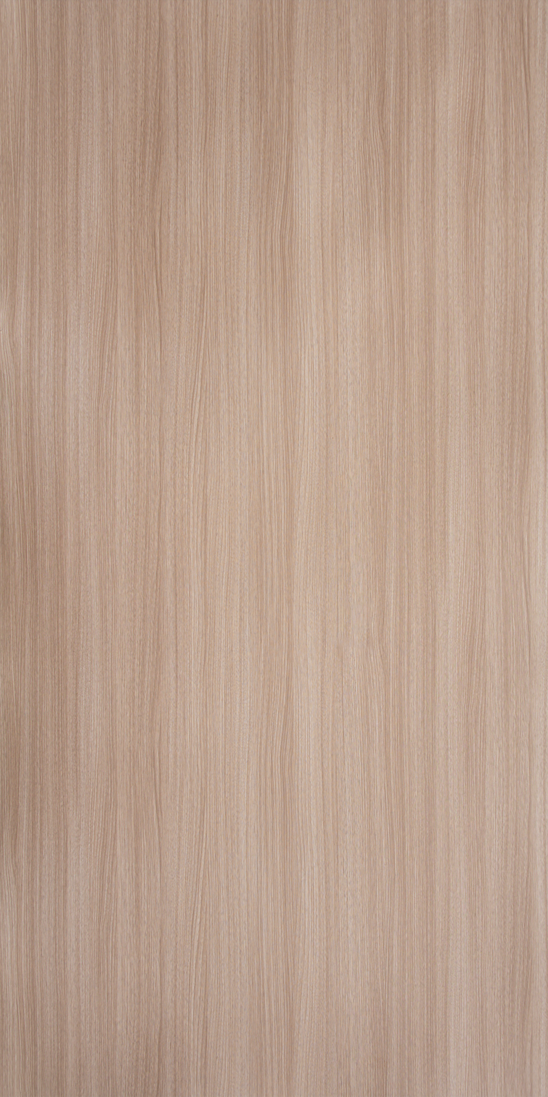 Silver Teak - GR 618