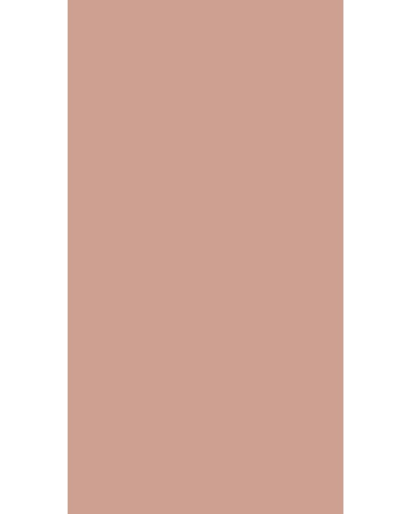 Plaster - APG 241