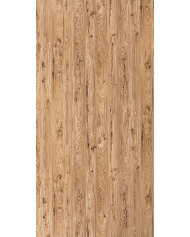 Monarch Elm - HG 1547