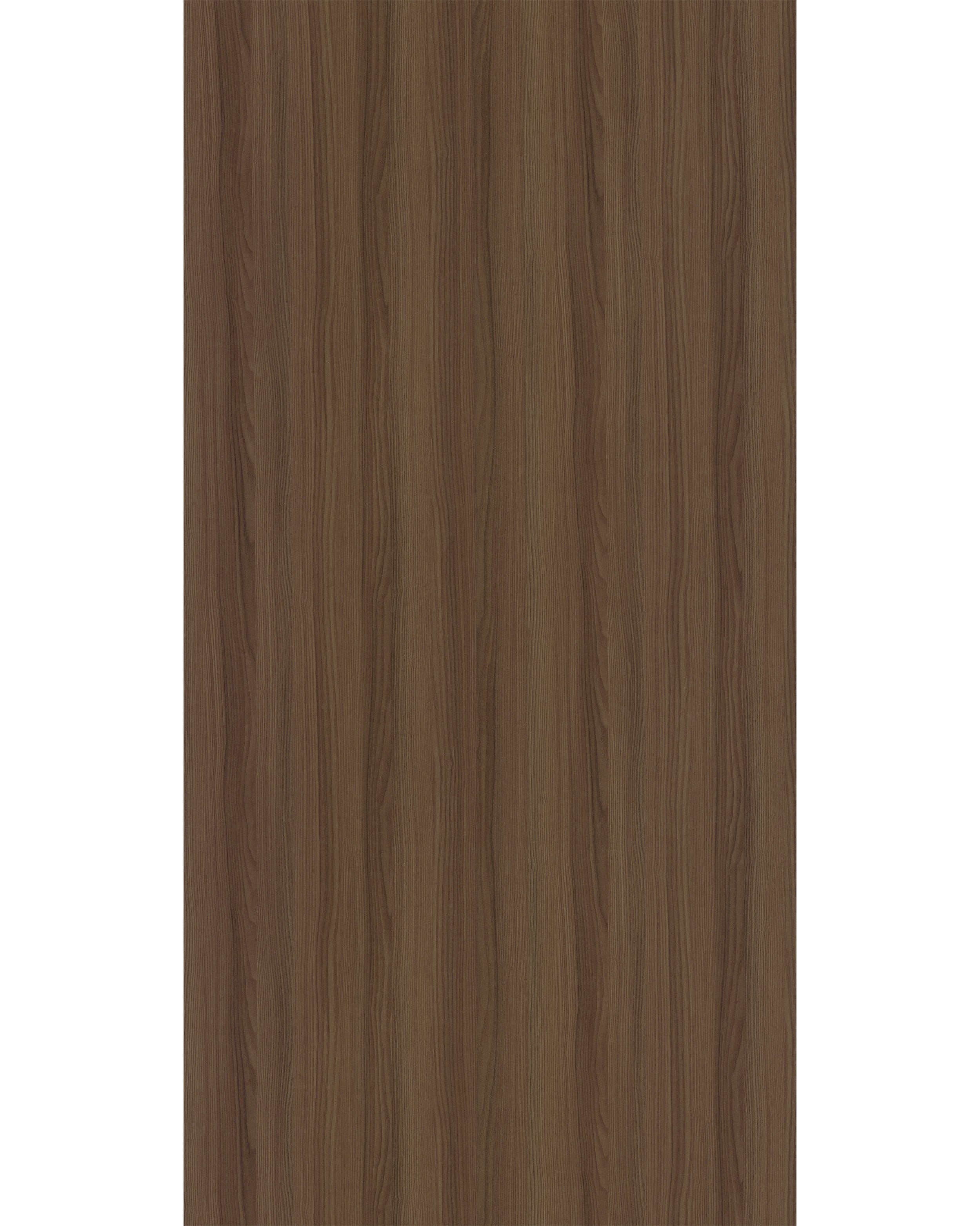 Seasoned Ash - GR 9539