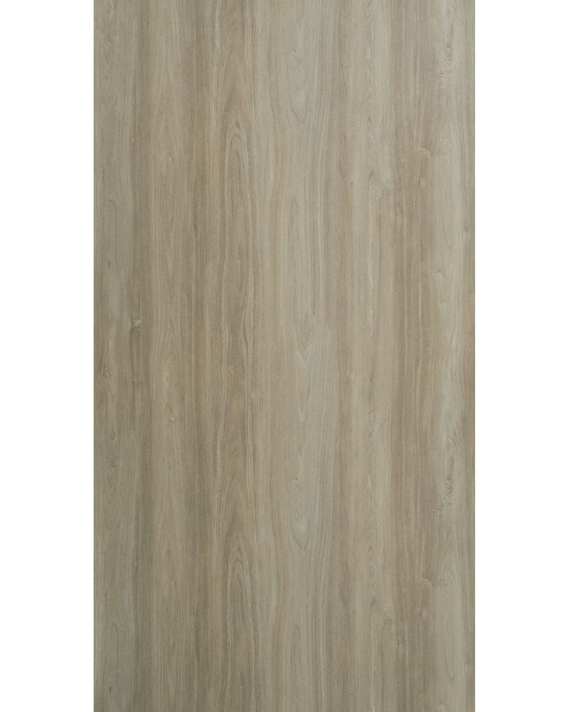 Canyon Ash - HG 81137