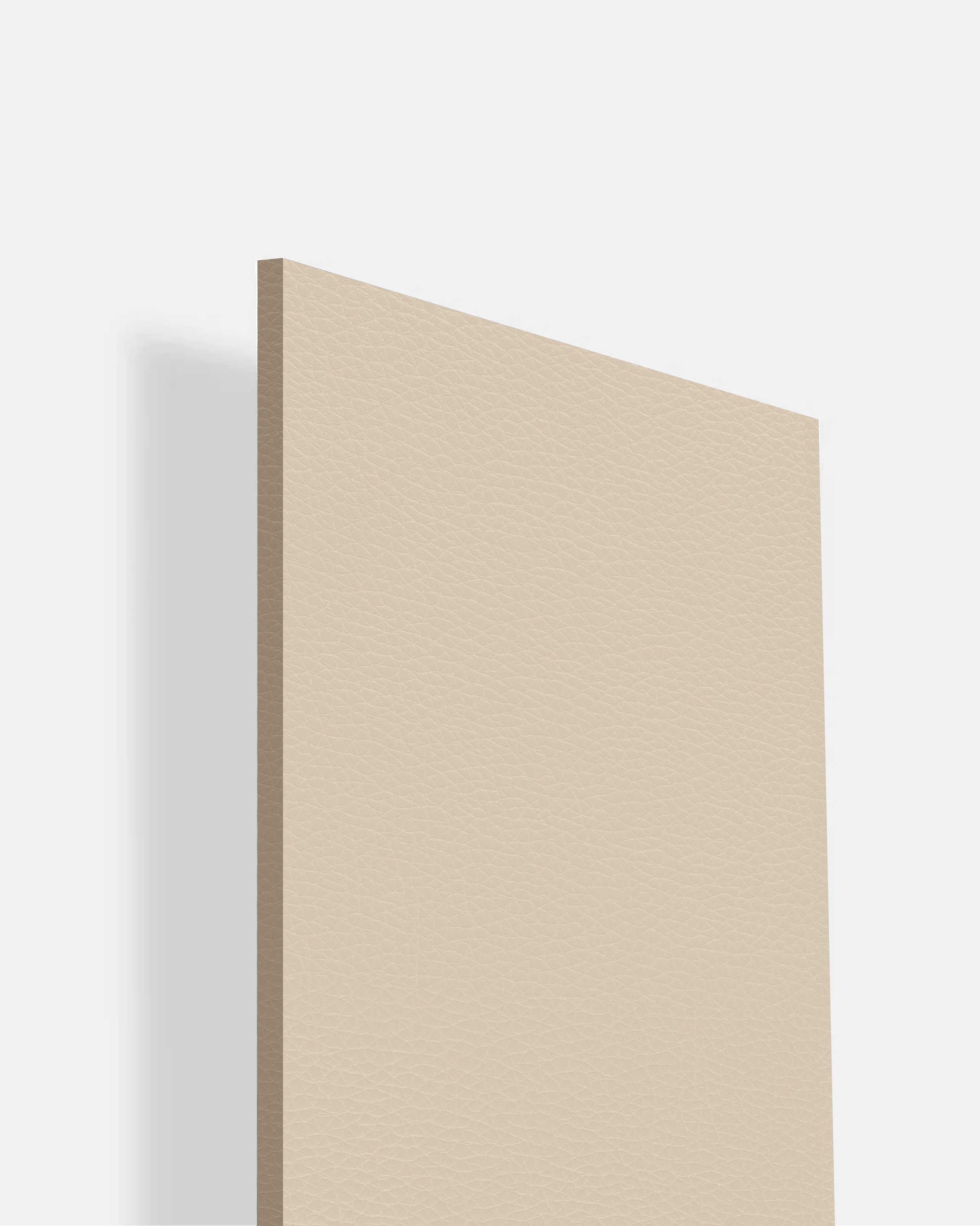 Abalone Creme - LT 199