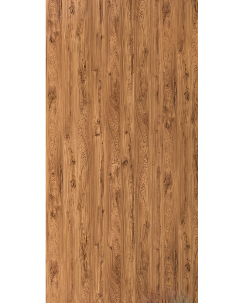 Monarch Elm - SF 1548