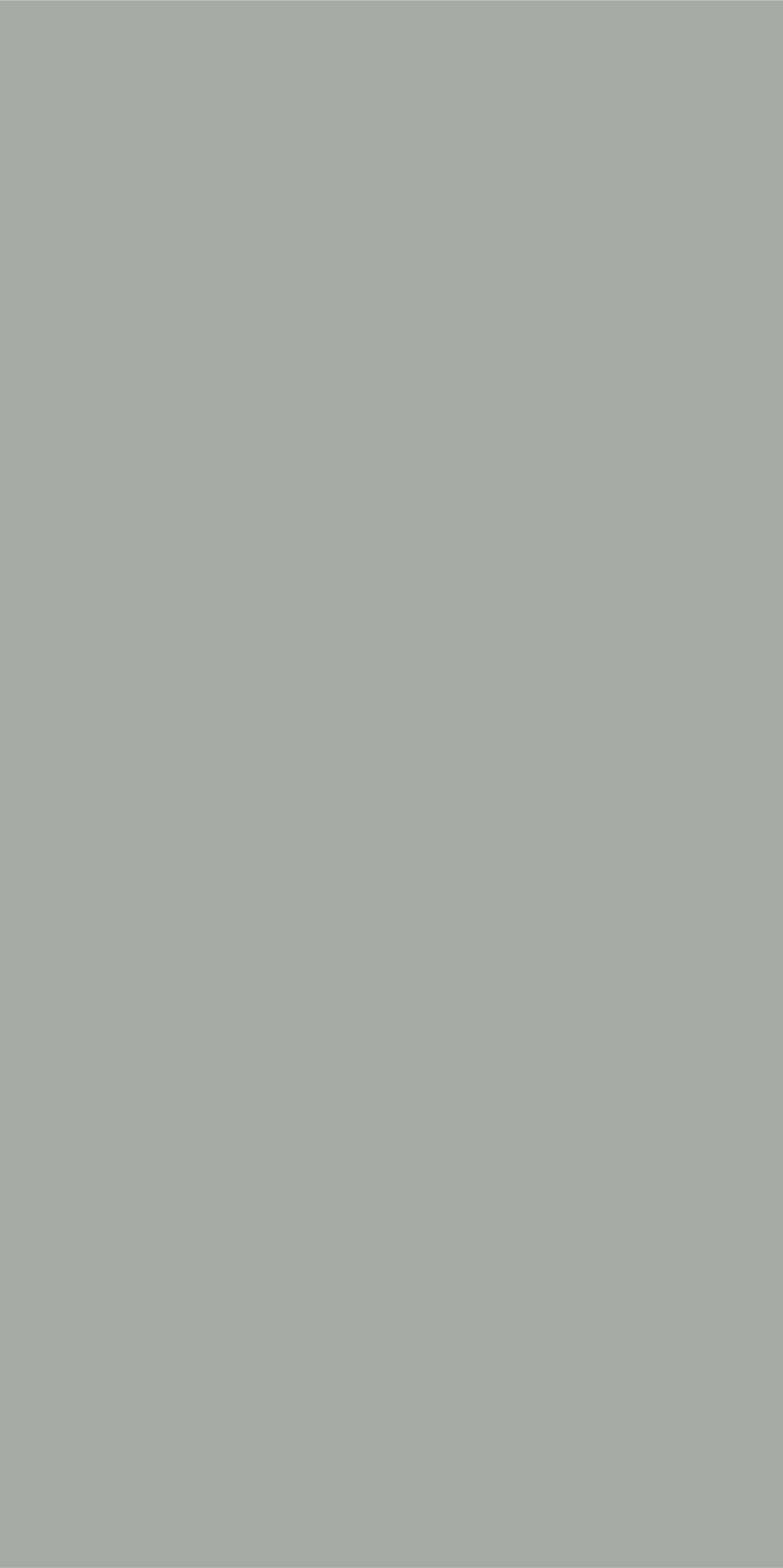 Pebble Grey - SF 4189