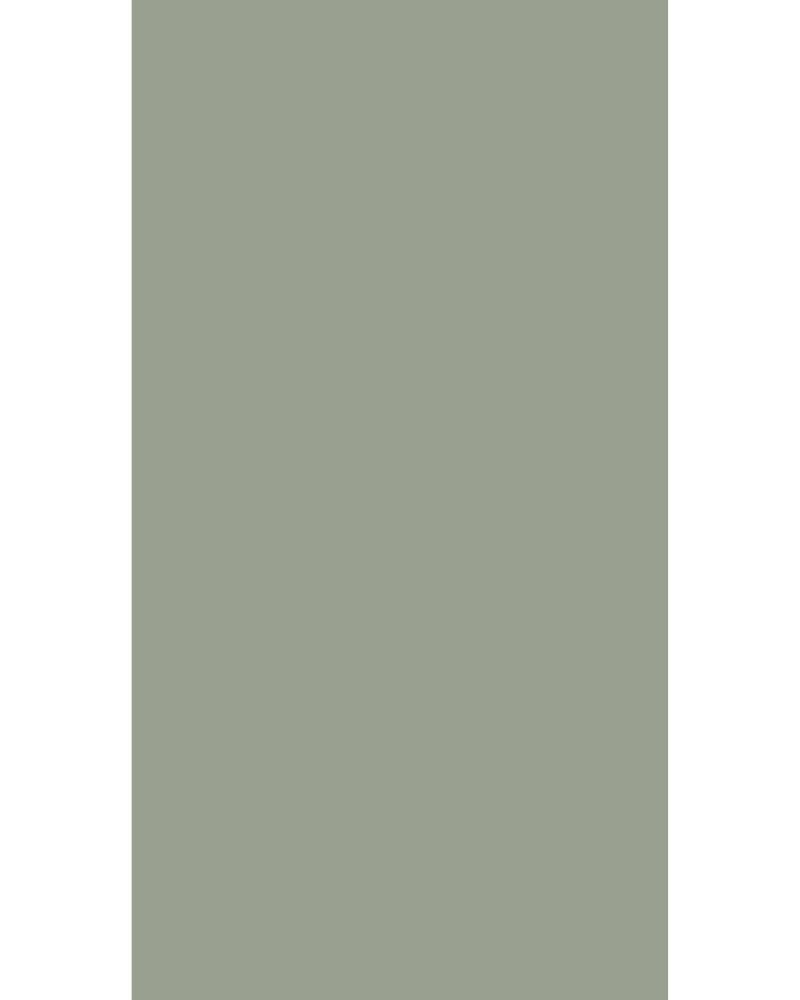 Clary Jade - SF 8180