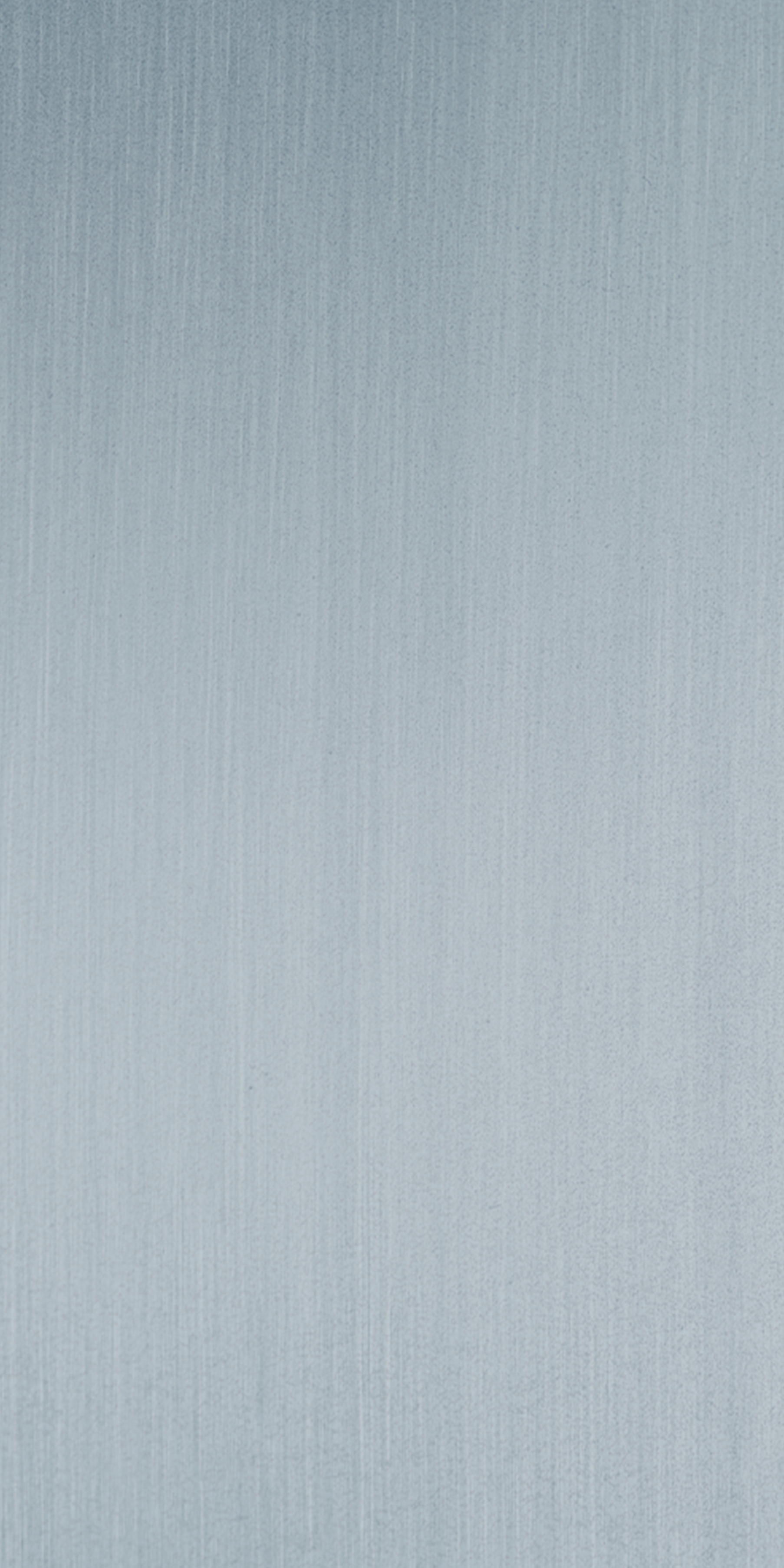 Brush Silver - DM S1