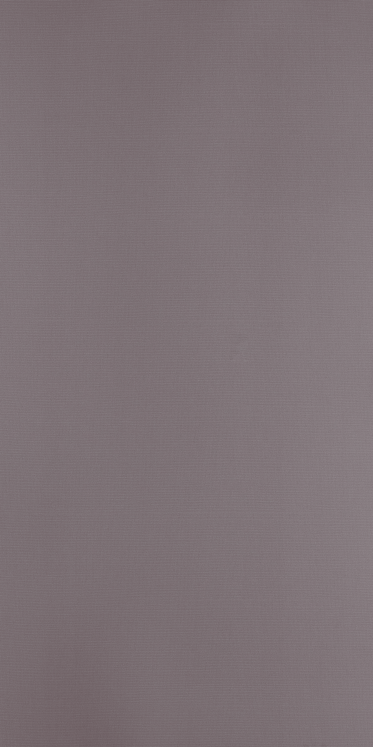 Dusky Thread – WV 1677