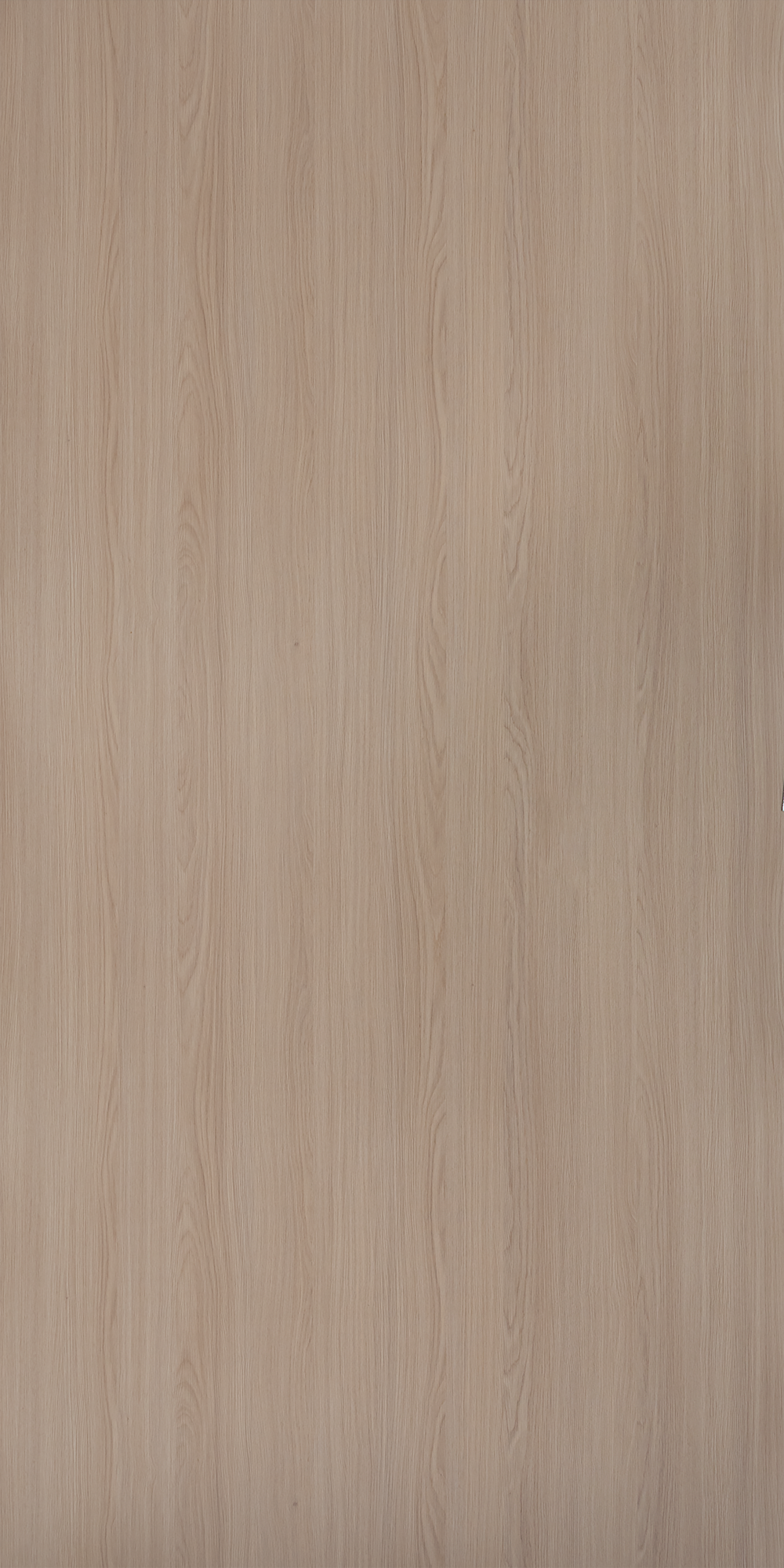 Fresh Oak - SF 608