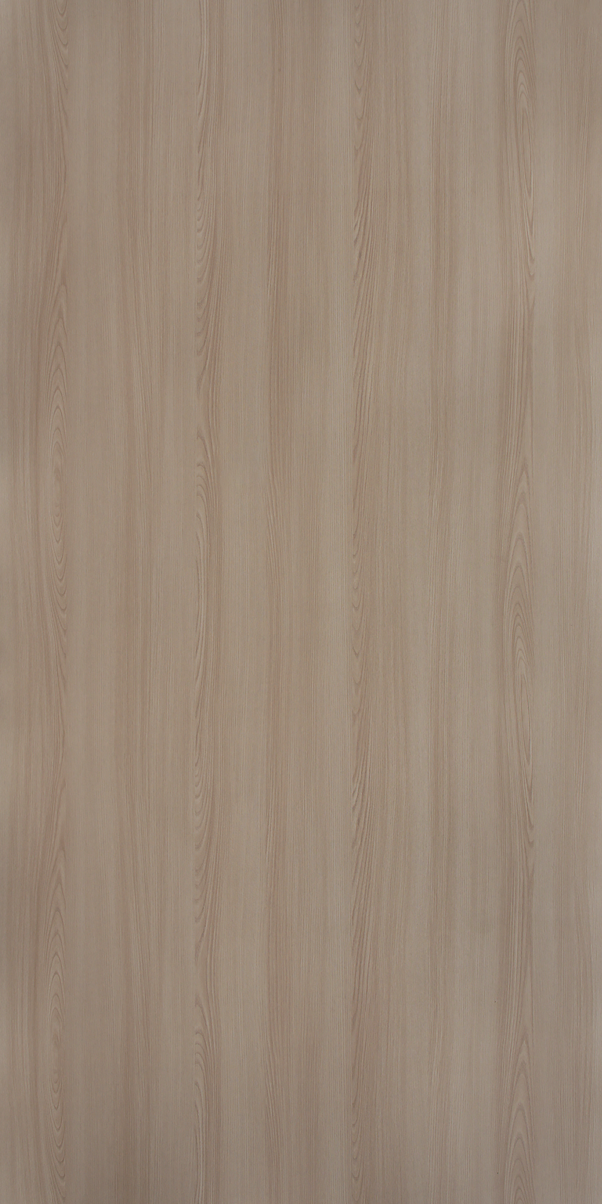 Tasmania Ash - FG 616