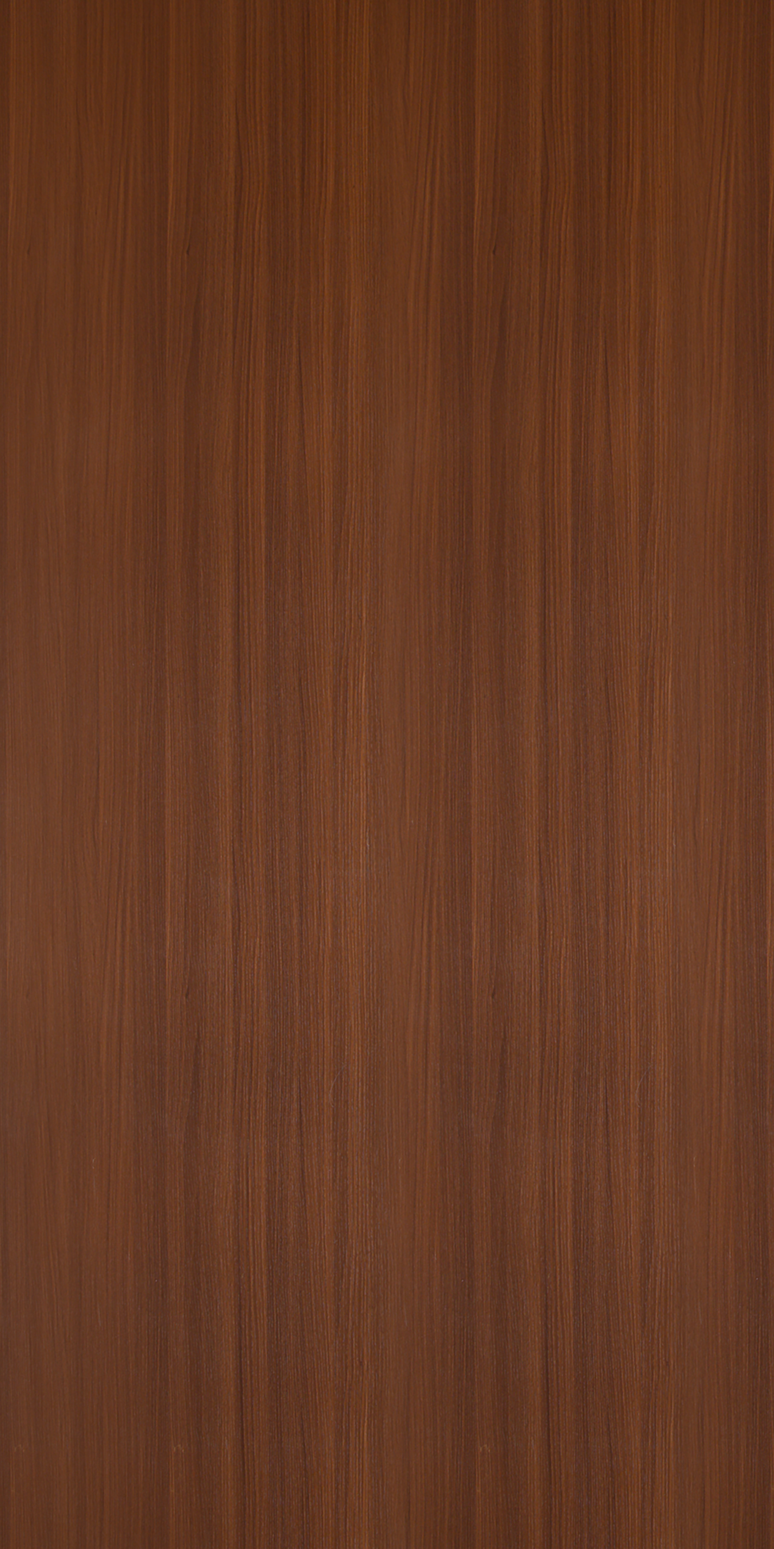 Olmo Walnut - RO 624