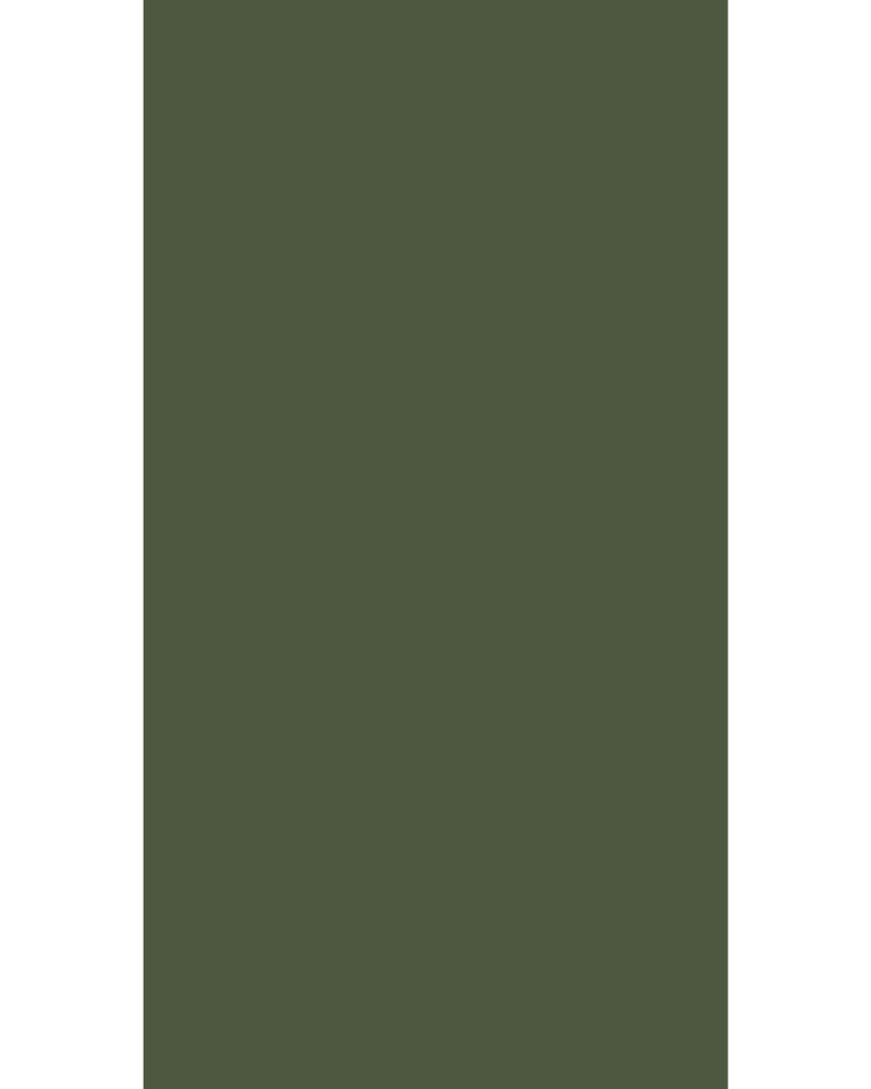 APG 244