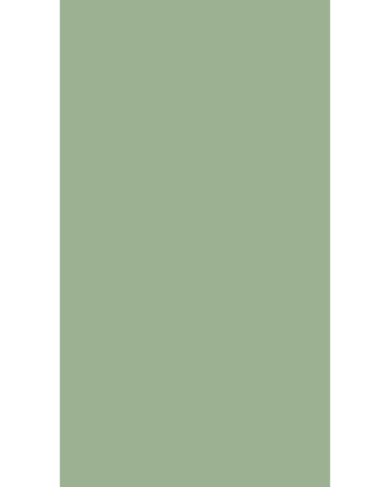 Peppermint Green - ATM 156