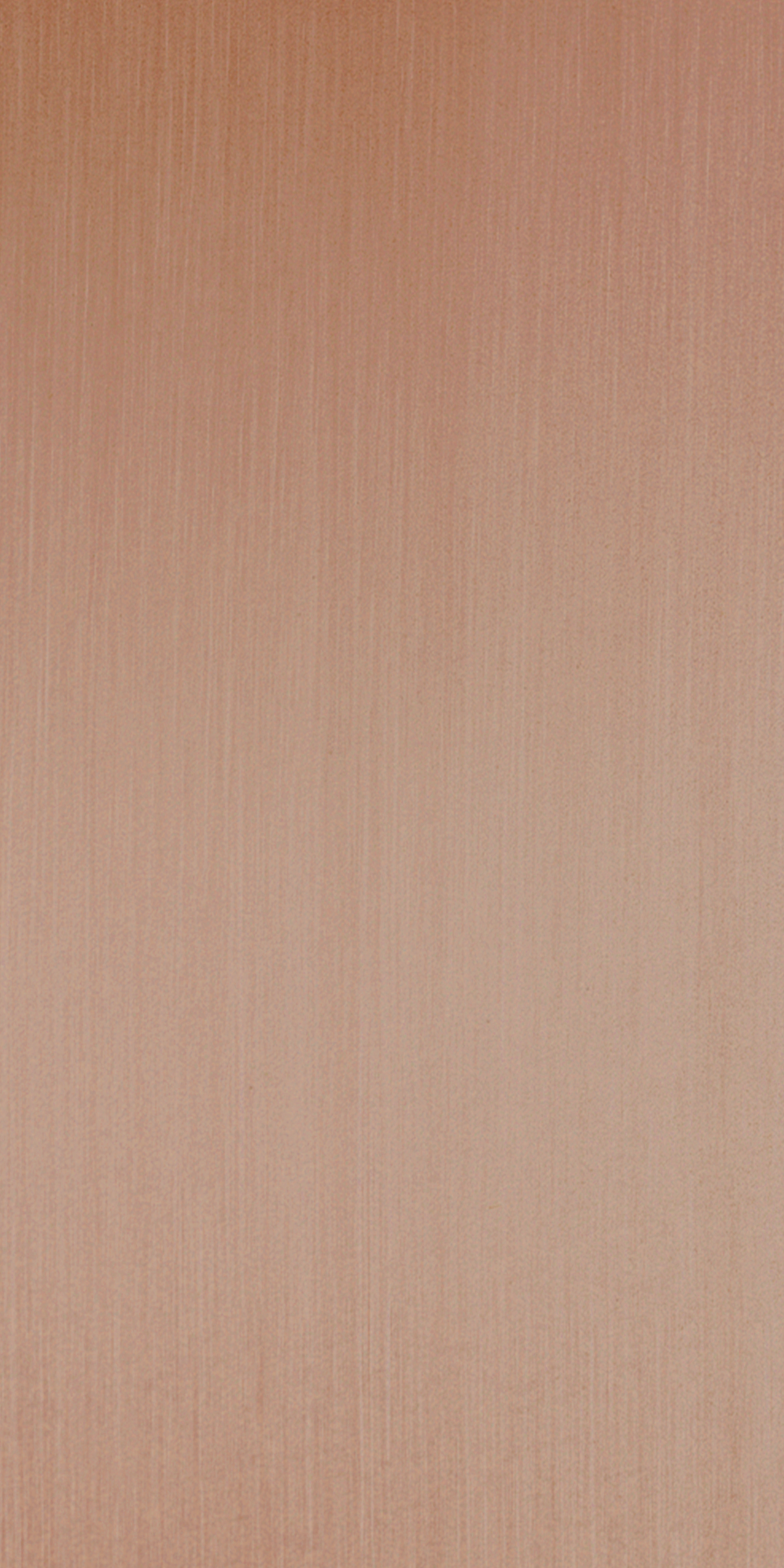 Brush Bronze - DM B3