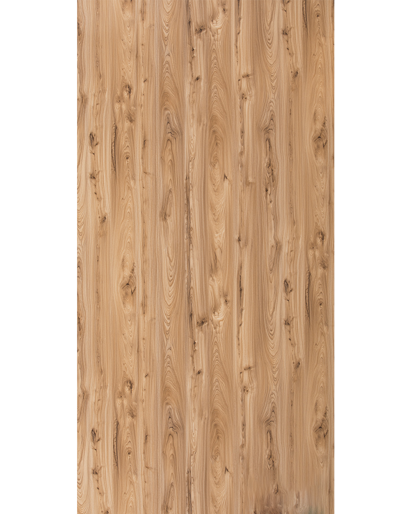 Monarch Elm - SF 1547