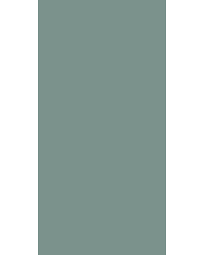 Shore - HG 8146
