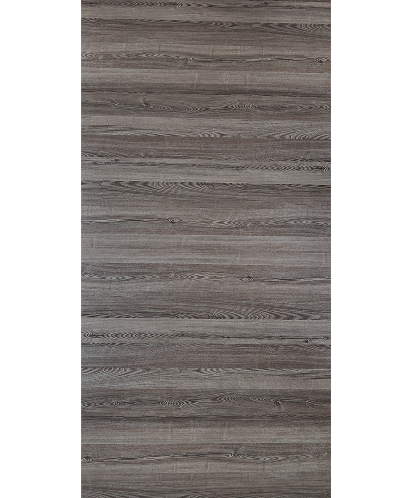 Silver Oak - HVZ 1564 HZ