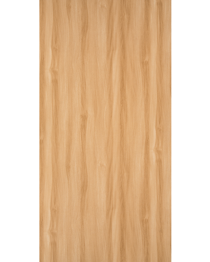 Radiance Elm - SF 1101