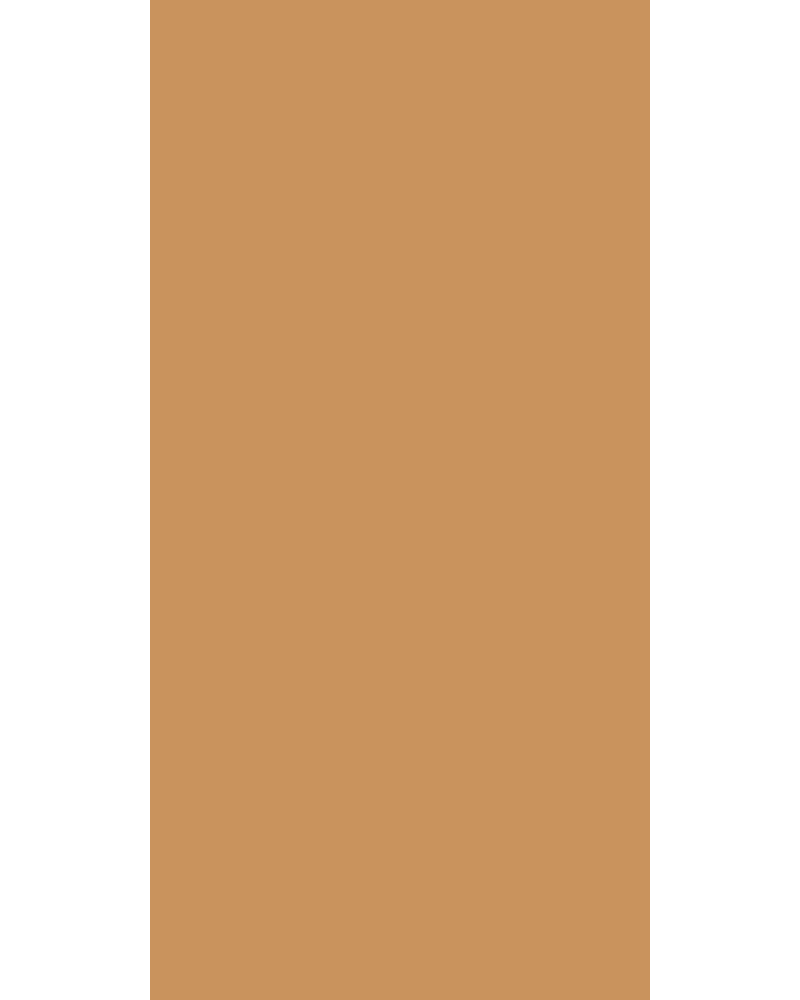 Classy Caramel - SF 170