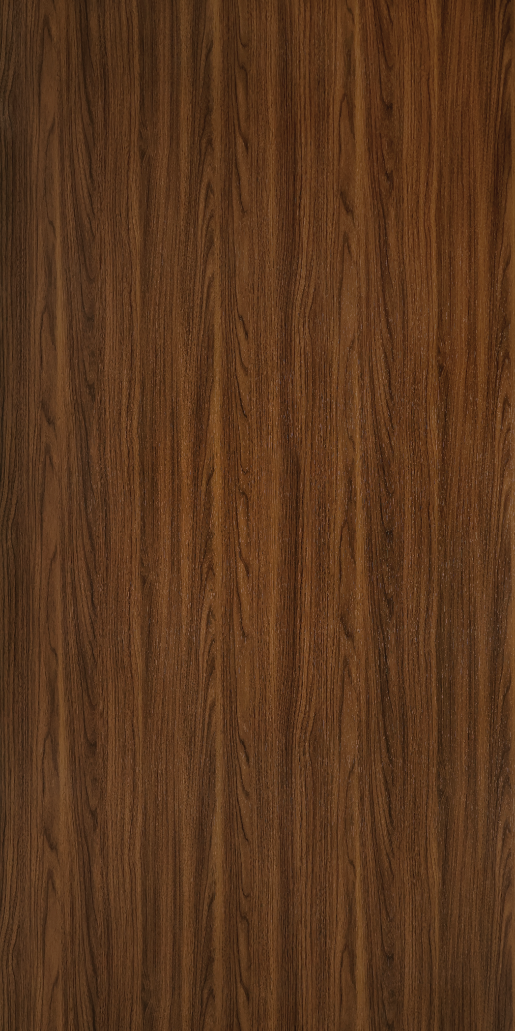 Royal Walnut - SF 610