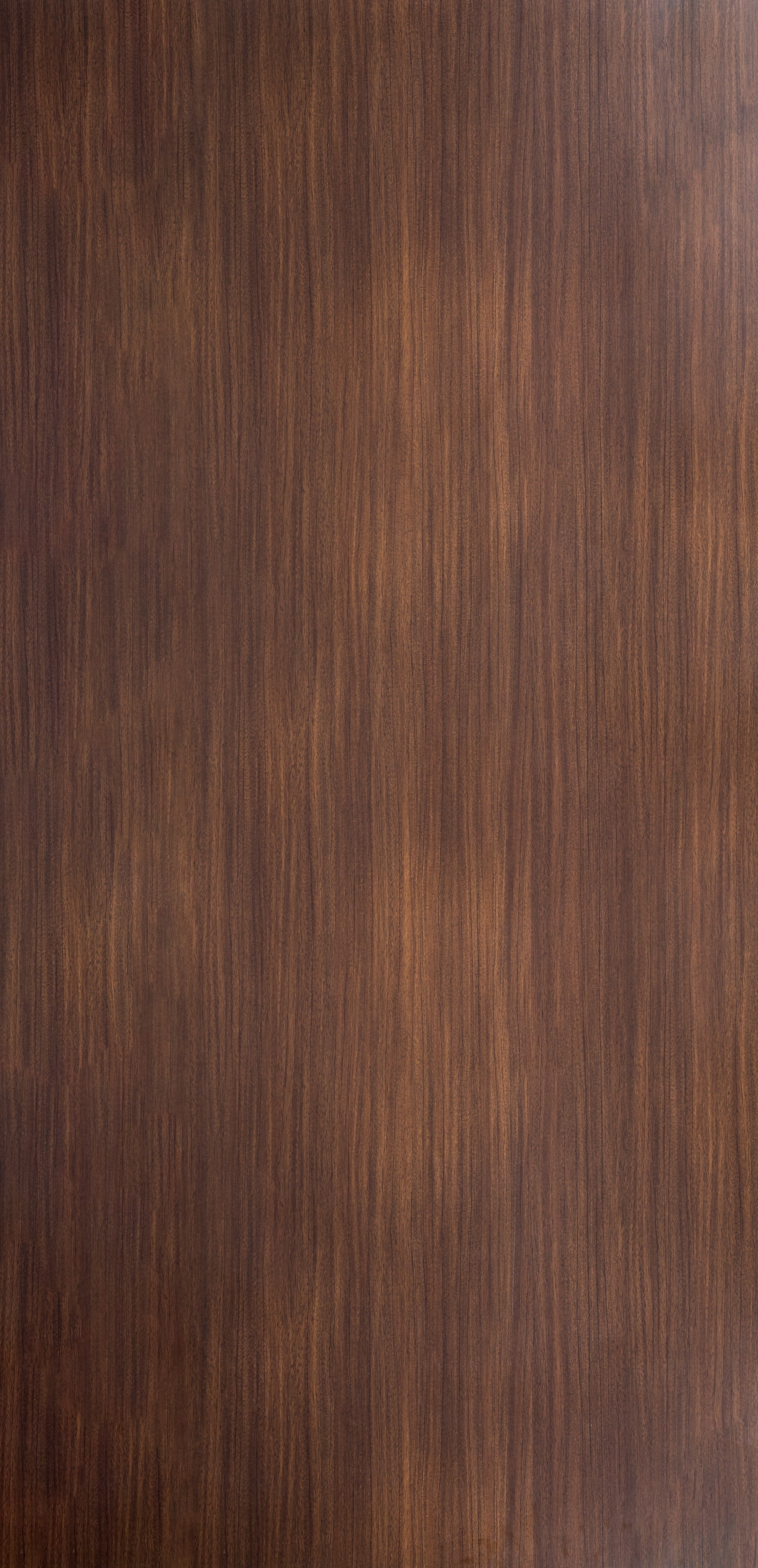 Maderia Chestnut - SF 9017