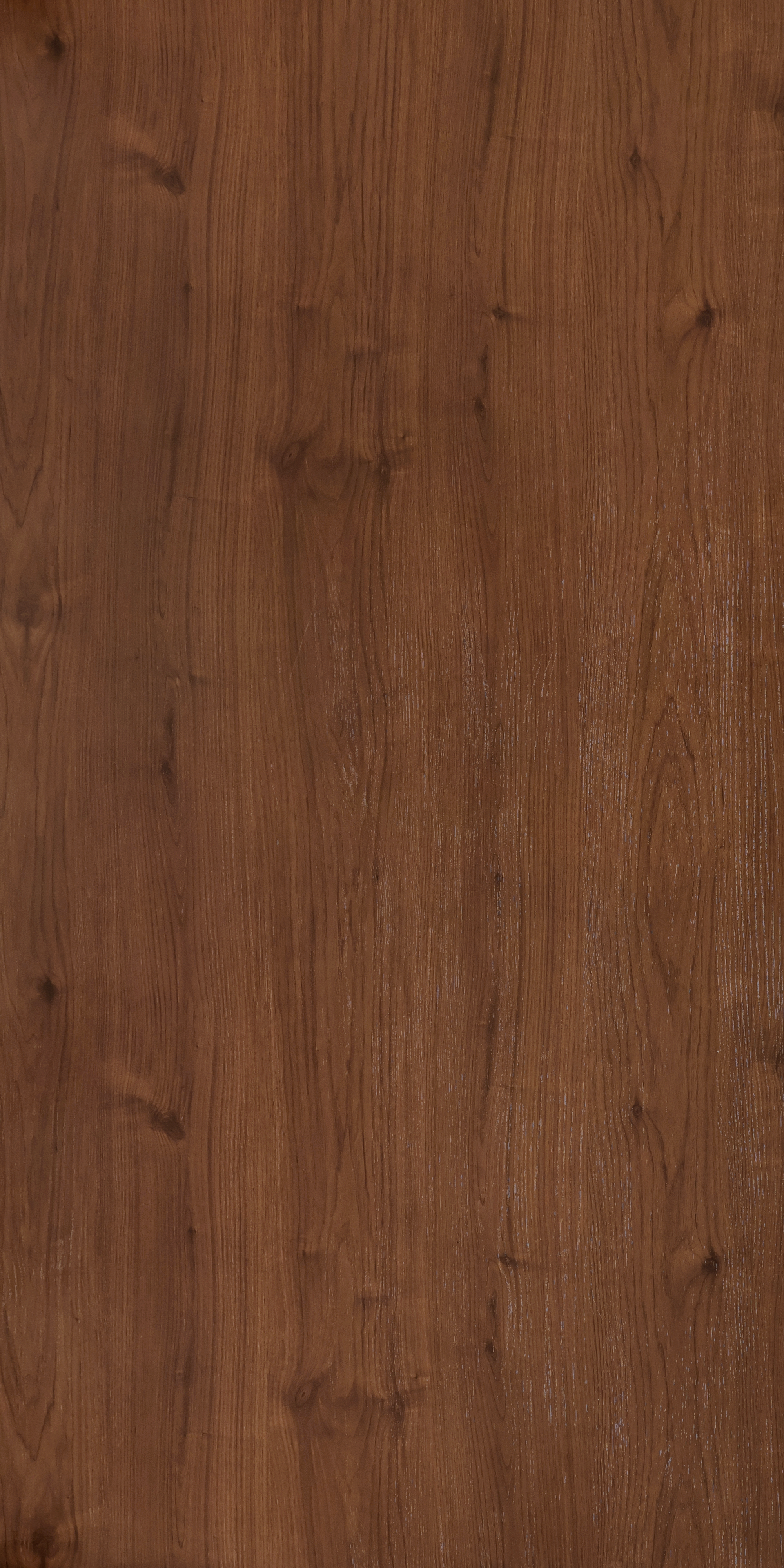 Brazilian Oak - SF 9026