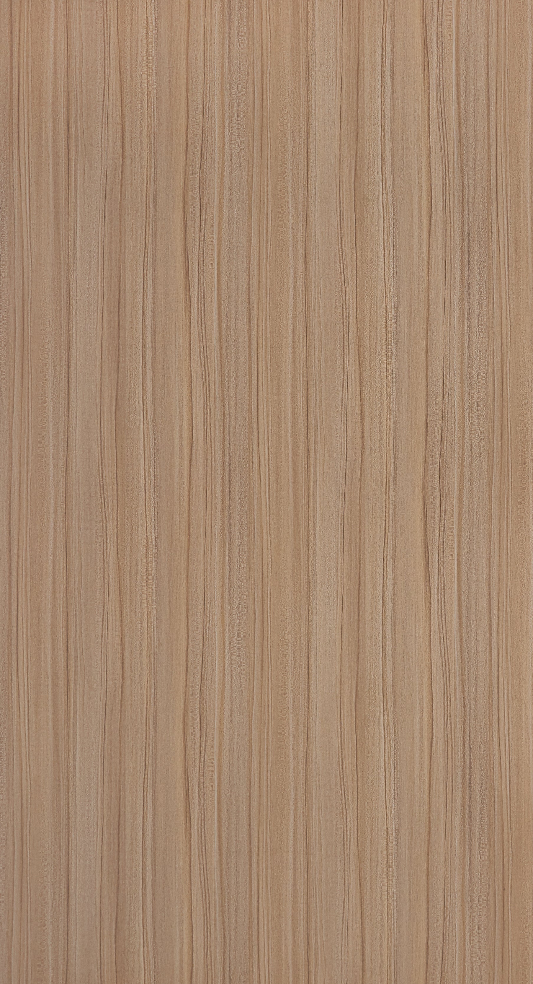 Natural Lacewood - SF 9076