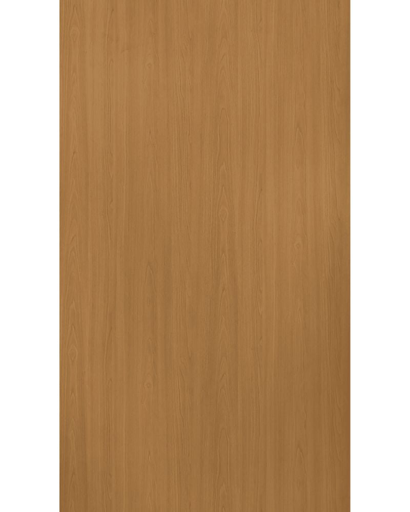 Jarrah Rainforest - ZD 1604