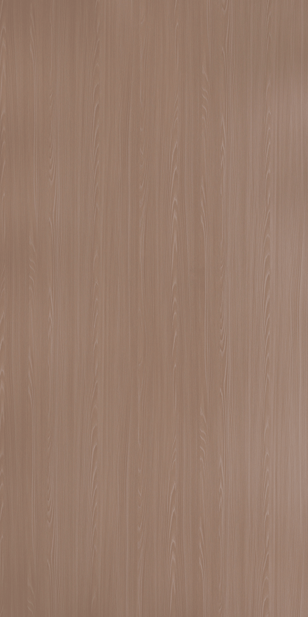 Honey Crest Ash - ZM 1651