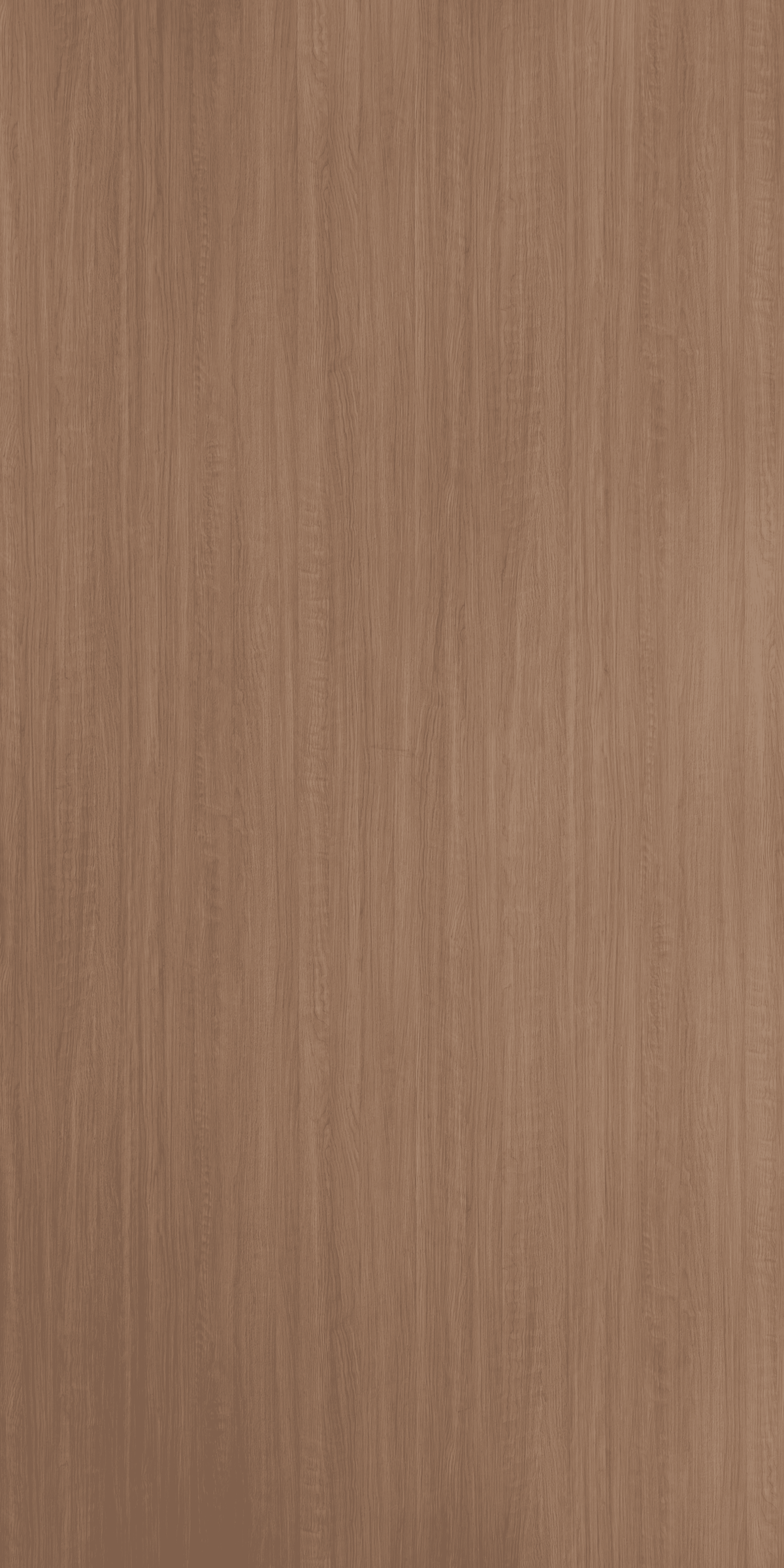 Golden Oak – ZO 1656