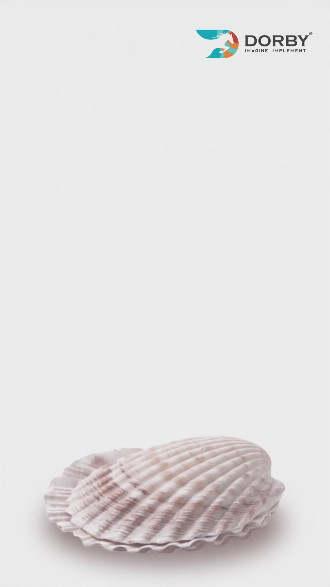 Sea Pearl - MZ 70156 - reel