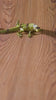 Metallic Flakes ZM 71626