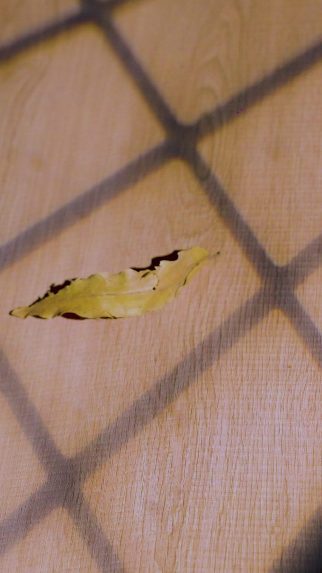 Vintage Oak - CZ 71628